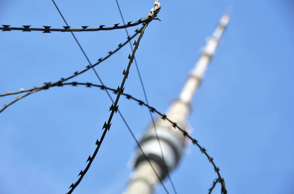Radiofonii Telewizji Wieża Telewizyjna Ostankino Moskwa Rosja — Zdjęcie stockowe