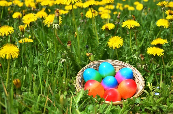 Easter eggs in the grass — Stock Photo, Image