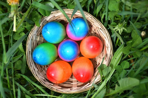Πασχαλινά αυγά στο γρασίδι — Φωτογραφία Αρχείου
