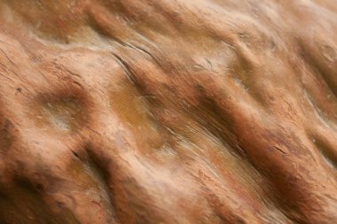 Doku, arka planını bir ağaç gövdesi.