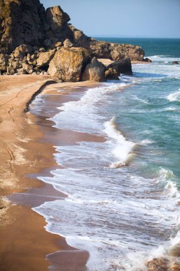 Deniz kumlu bir plaj ile defne.