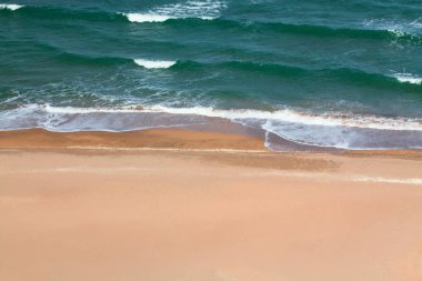 Sandy Azak Denizi'nin kıyısında.