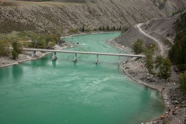 Ponte Ferro Sobre Rio Montanha Rio Katun Água Azul Turquesa — Fotografia de Stock