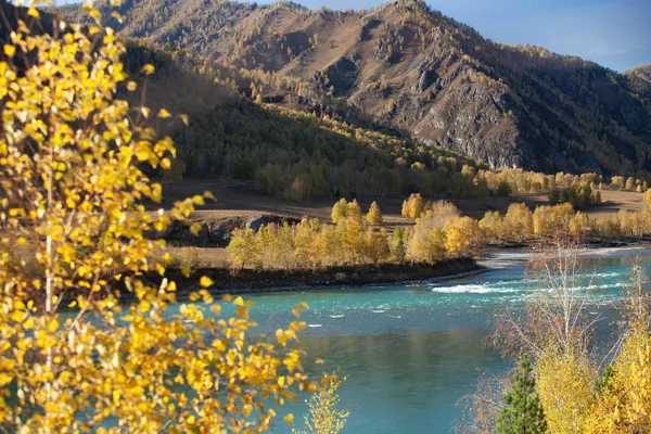Autumn landscape with views of the mountains and the mountain river. Russia. Altai, river Katun. — Stock Image Autumn Landscape Views Mountains Mountain River Russia Altai River Katun Stock Picture