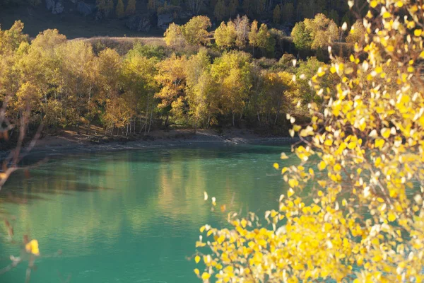 Podzimní Krajina Výhledem Hory Horskou Řeku Rusko Altai Řeka Katun — Stock fotografie