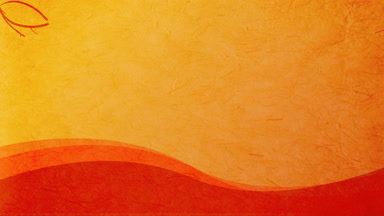 Turuncu arka planda güzel çiçekler 