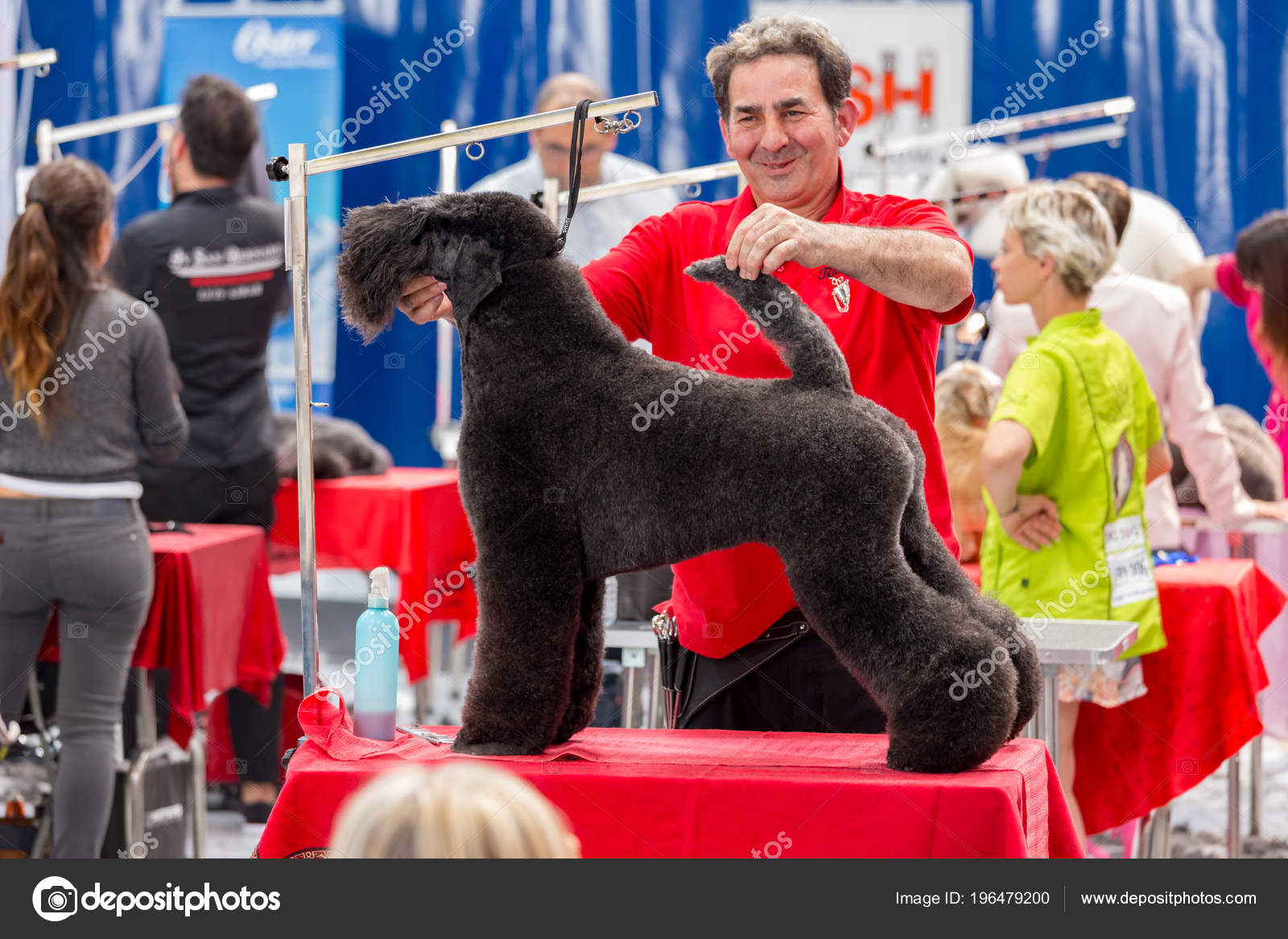 Irradiar alias Illinois Concurso Internacional Cosmética Para Perros Sant Antoni Calonge España 2018 — Foto editorial de stock © digoarpi #196479200 Irradiar alias Illinois Concurso Internacional Cosmética Para Perros Sant Antoni Calonge España 2018 — Foto editorial de stock © digoarpi #196479200