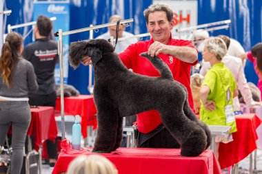 Uluslararası köpek kozmetik rekabet Sant Antoni de Calonge İspanya, 19. 05. 2018, İspanya
