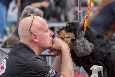 Uluslararası köpek kozmetik rekabet Sant Antoni de Calonge İspanya, 19. 05. 2018, İspanya