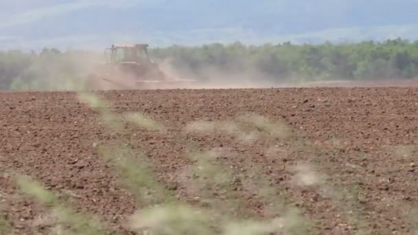 Primavera Tractor Que Trabaja Las Tierras Cultivo — Vídeos de Stock