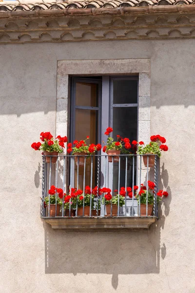 Hezká okna s pelargónie květiny ve španělském městě Girona. — Stock fotografie