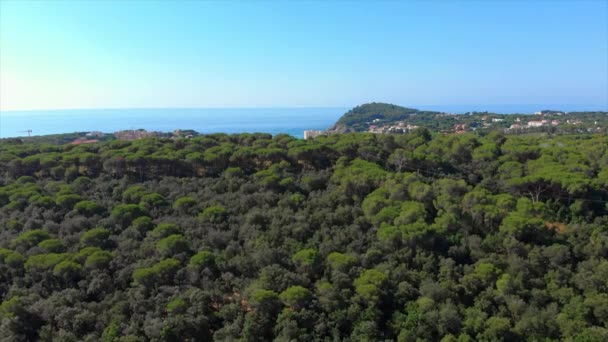 Paisaje Español Hacer Con Dron Cerca Del Pueblo Fosca — Vídeos de Stock