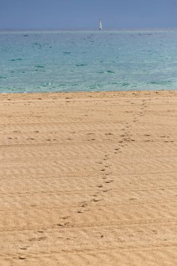 Su için sahilde ki ayak izi