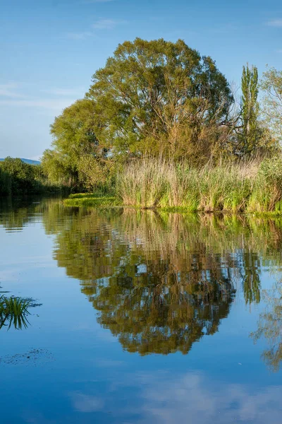 Bom Reflexo Água Hungria Perto Rio Zala — Fotografia de Stock