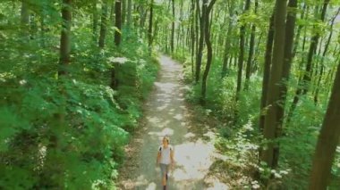 Bir kayın ormanı, hava uçak görüntüleri yolu güzel kız