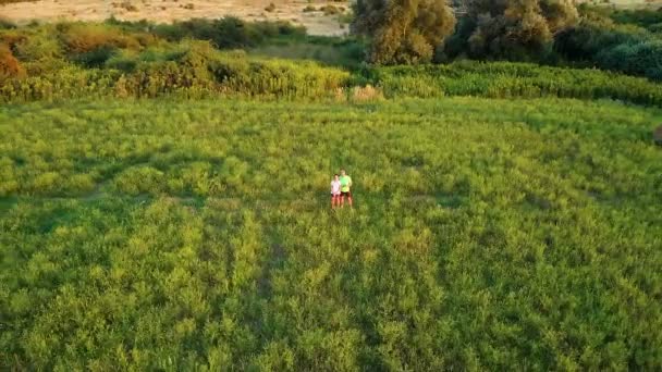 有趣的空中无人机镜头与两个人在草地上 — 图库视频影像