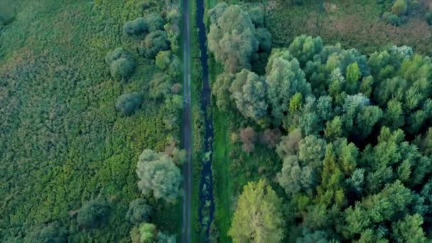 Drone légi felvételeket a magyar táj, a Balaton közelében