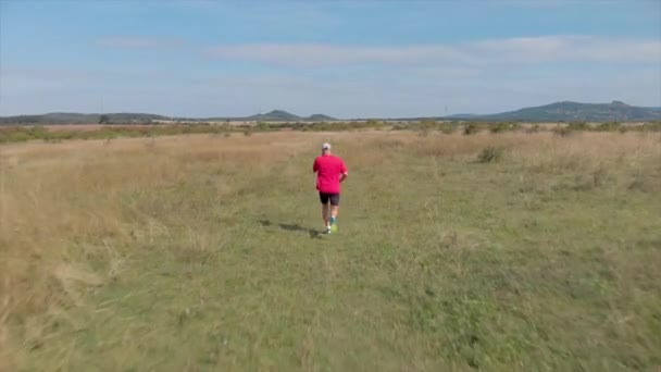 Aerial Footage Man Running Hungarian Meadow — Stock Video