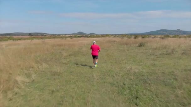 Imágenes Aéreas Hombre Corriendo Prado Húngaro — Vídeos de Stock