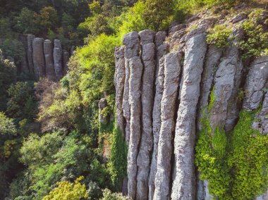 Aerial picture from nice natural basalt columns in a volcanic hill Saint George, near the lake Balaton of Hungary clipart