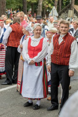 Sonbahar Badacsony bir köyde geleneksel Macar üzüm olay katılımcı. 09. 09. 2018 Macaristan