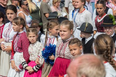 Sonbahar Badacsony bir köyde geleneksel Macar üzüm olay katılımcı. 09. 09. 2018 Macaristan