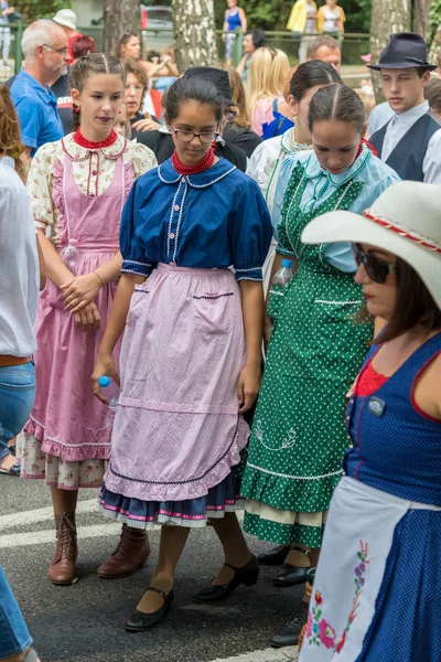 Traditionella Ungerska Druva Händelse Deltagare Höst Badacsony 2018 Ungern — Stockfoto