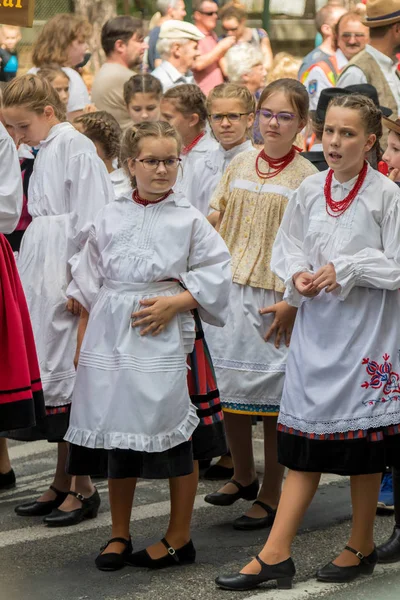 传统的匈牙利葡萄事件参与者在秋季的一个村庄 Badacsony 2018匈牙利 — 图库照片