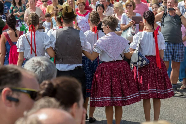 Tradycyjne Węgierskie Winogron Wydarzenie Uczestnik Jesienią Miejscowości Badacsony 2018 Węgry — Zdjęcie stockowe