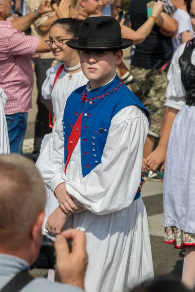 Tradicional Húngaro Evento Uva Participante Otoño Pueblo Badacsony 2018 Hungría —  Fotos de Stock