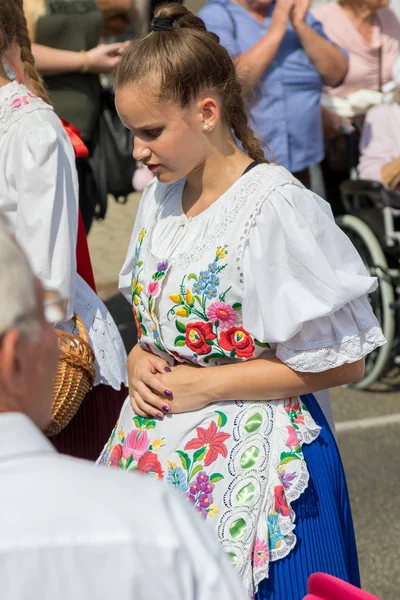 Traditionelle Ungarische Traubenfest Teilnehmer Herbst Einem Dorf Badacsony 2018 — Stockfoto