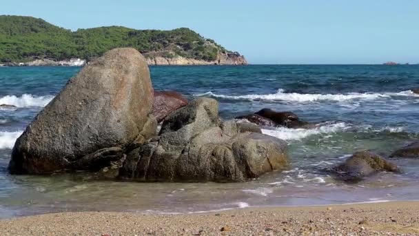 Detalle Costa Brava Bahía Fosca — Vídeo de stock