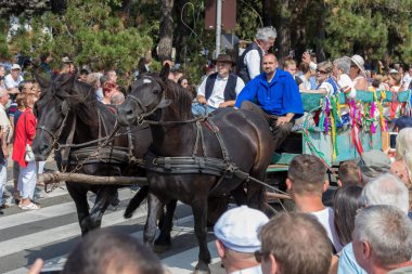 Traditional hungarian grape event participant in autumn in a village Badacsony. 09. 09. 2018 Hungary clipart