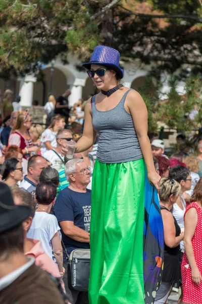 Traditionella Ungerska Druva Händelse Deltagare Höst Badacsony 2018 Ungern — Stockfoto