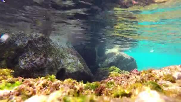 Fond Marin Dans Littoral Espagnol — Video