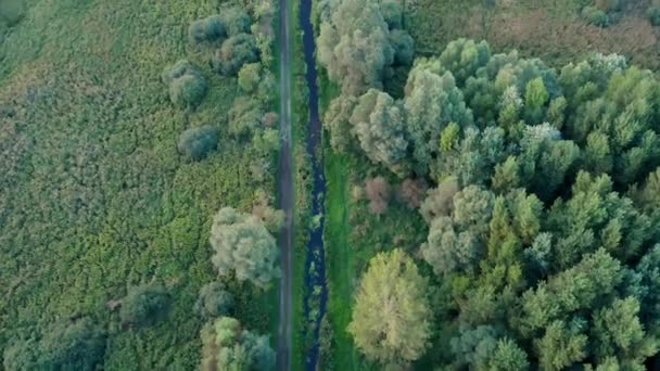 Drohnenaufnahmen Aus Einer Ungarischen Landschaft Der Nähe Des Balatons — Stockvideo