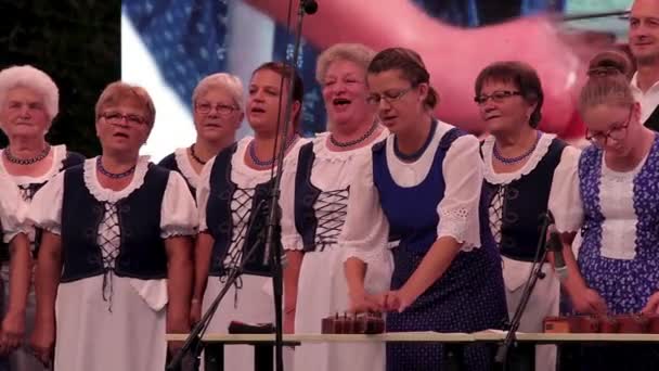 Senior Ungarischen Chor Bei Einem Traubenfest Einer Kleinstadt Balatonfred 2018 — Stockvideo