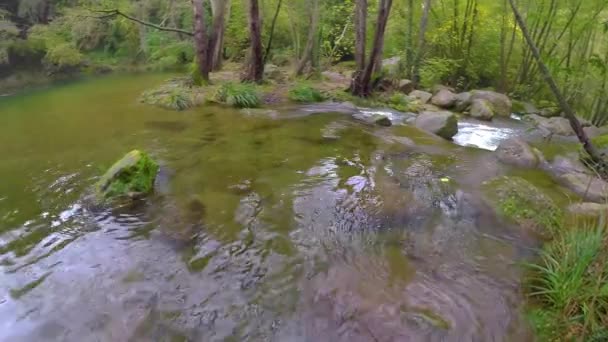 Miły Mały Potok Lesie Hiszpanii Pochmurny Dzień — Wideo stockowe