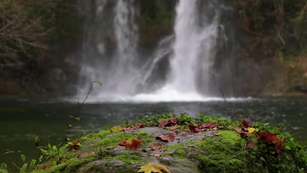 在多云的日子里 西班牙森林上美丽的瀑布细节 — 图库视频影像