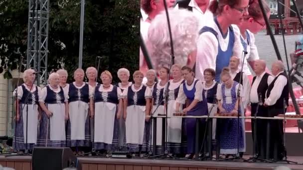 Senior Ungarischen Chor Bei Einem Traubenfest Einer Kleinstadt Balatonfred 2018 — Stockvideo