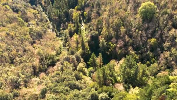 Belle Montagne Espagne Près Village Osor Catalogne — Video