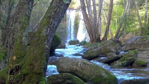 Bulutlu Bir Günde Spanya Ormandaki Güzel Creek — Stok video