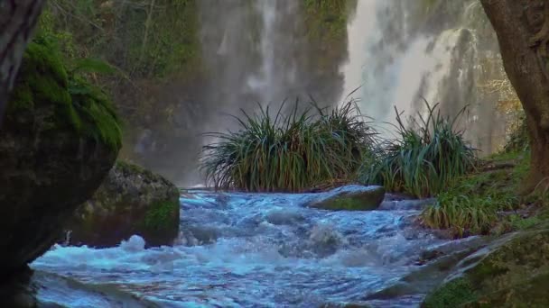 Nice Waterfall Forest Spain Cloudy Day — Stock Video