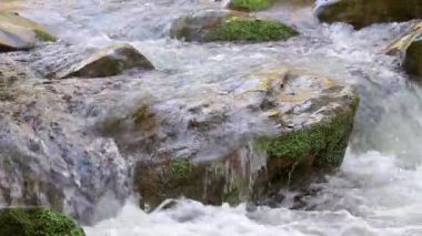 Bulutlu bir günde İspanya ormandaki güzel şelale