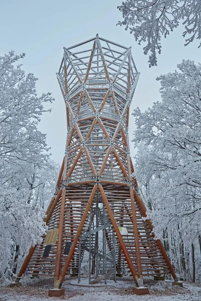 Vysoká Dřevěná Věž Zimním Lese Zatažené Studené Maďarska — Stock fotografie