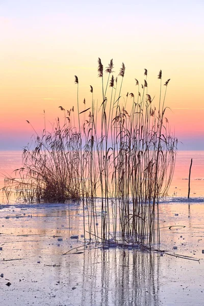 Luz Pôr Sol Sobre Lago Congelado Balaton Hungria — Fotografia de Stock