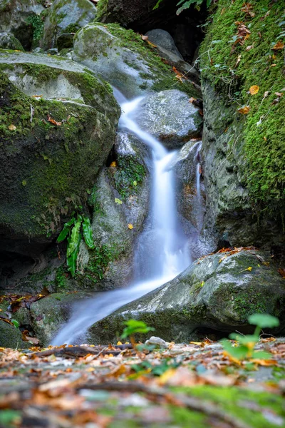 Schöner Bach Wald Spanien Der Nähe Des Dorfes Les Planes — Stockfoto