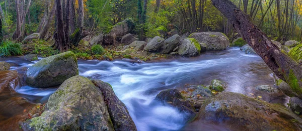 Beautiful Creek Forest Spain Village Les Planes Hostoles Catalonia — Stock Photo, Image