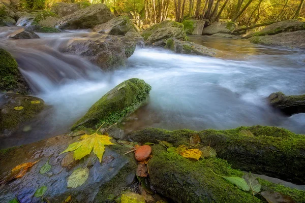 Beau Ruisseau Dans Forêt Espagne Près Village Les Planes Hostoles — Photo