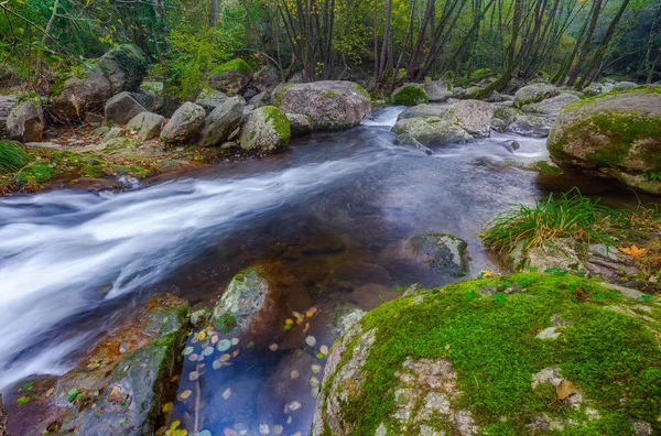 Beautiful Creek Forest Spain Village Les Planes Hostoles Catalonia — Stock Photo, Image